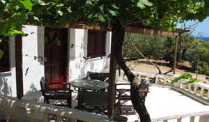 grapes to taste just over your head